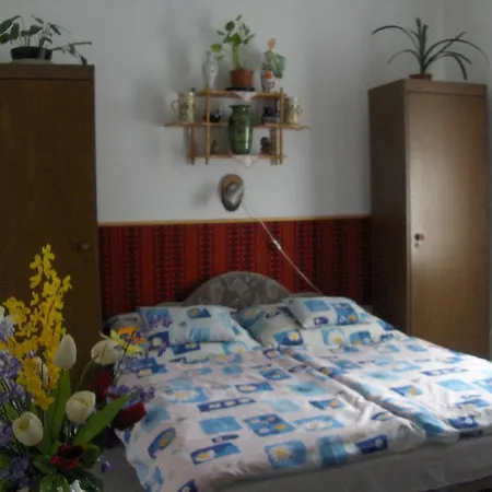 Apartman Szoke Tisza Tiszafüred