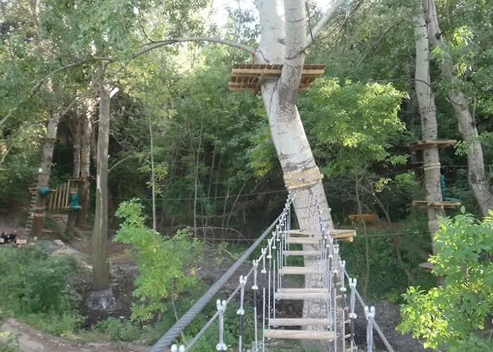 Apartman Szoke Tisza Pensiune *