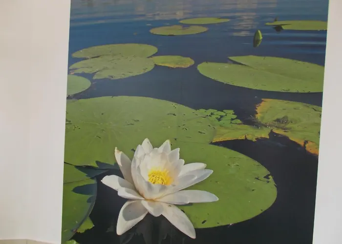 Apartman Szoke Tisza * Tiszafüred