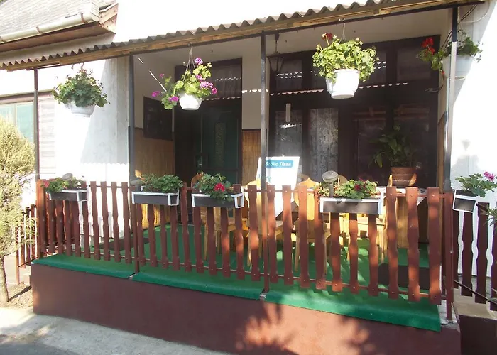 Apartman Szoke Tisza Pensiune