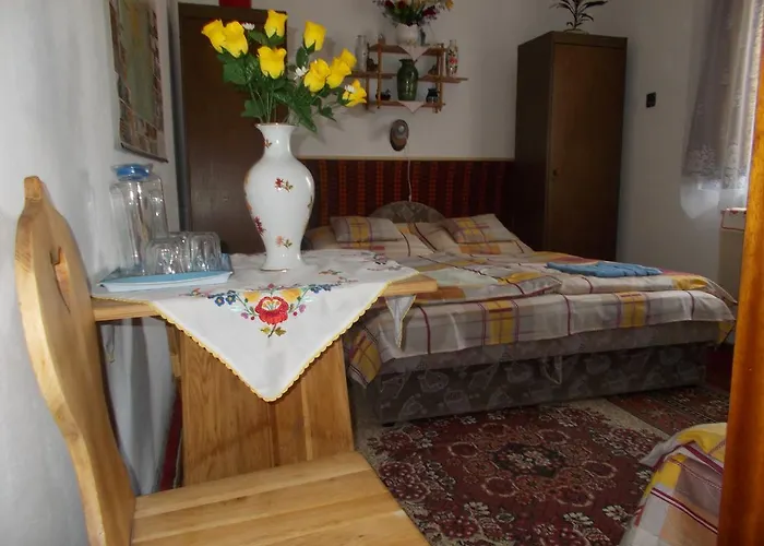 Apartman Szoke Tisza Pensiune *