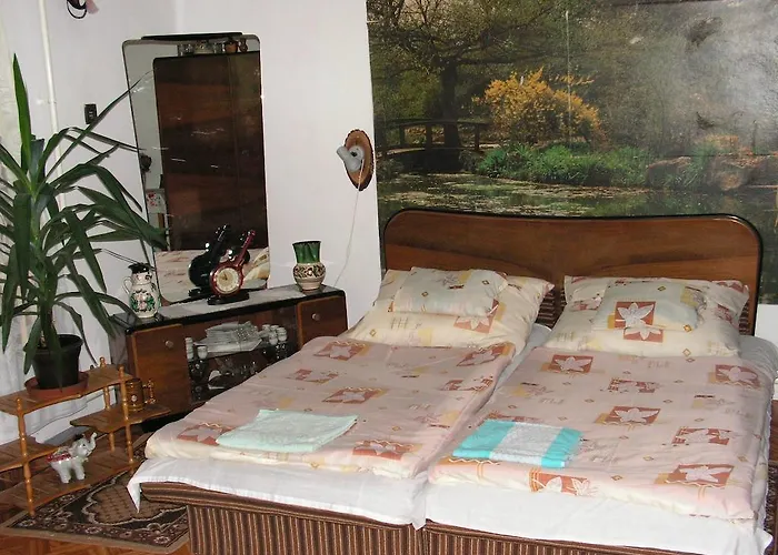 Pensiune Apartman Szoke Tisza