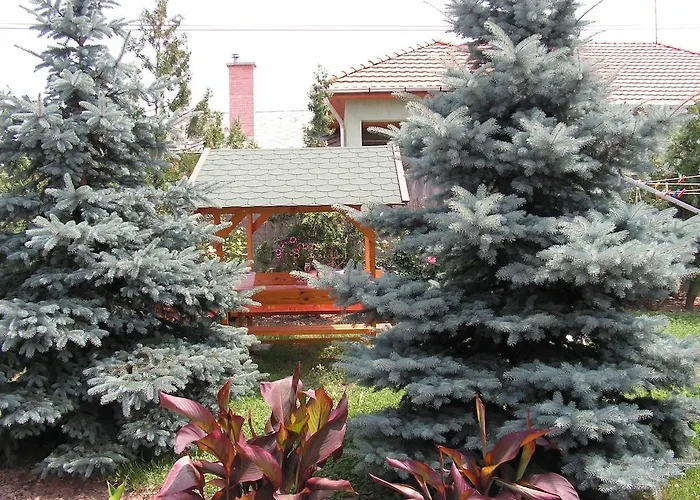 Pensiune Apartman Szoke Tisza Tiszafüred