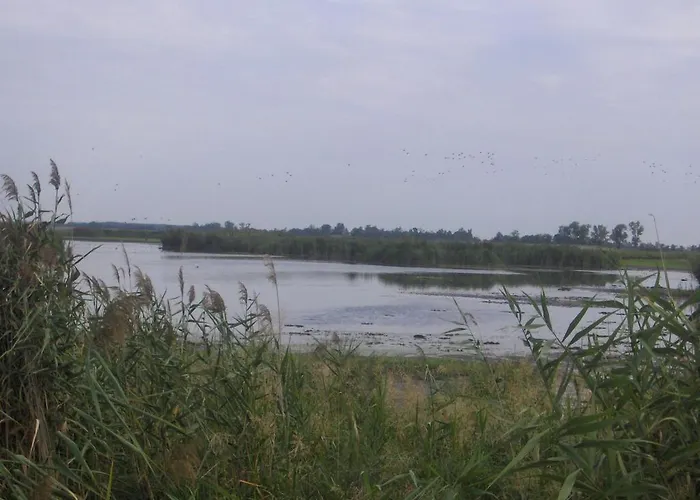 Apartman Szoke Tisza Pensiune