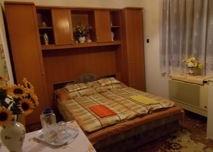 Apartman Szoke Tisza