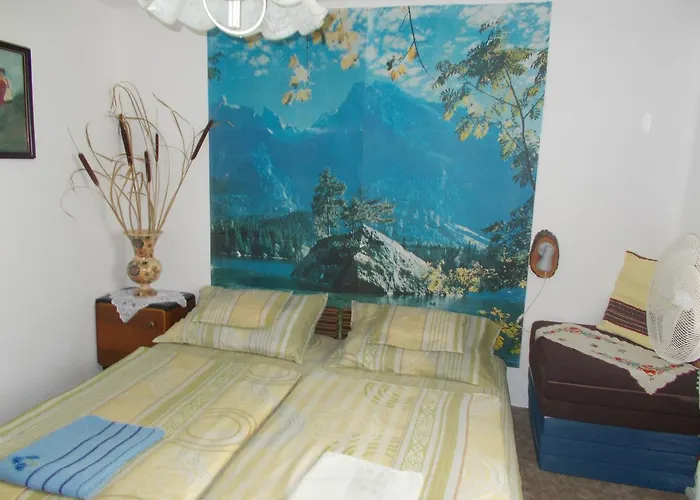 Pensiune Apartman Szoke Tisza *