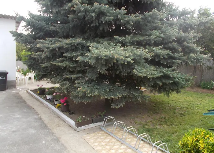 Pensiune Apartman Szoke Tisza Tiszafüred