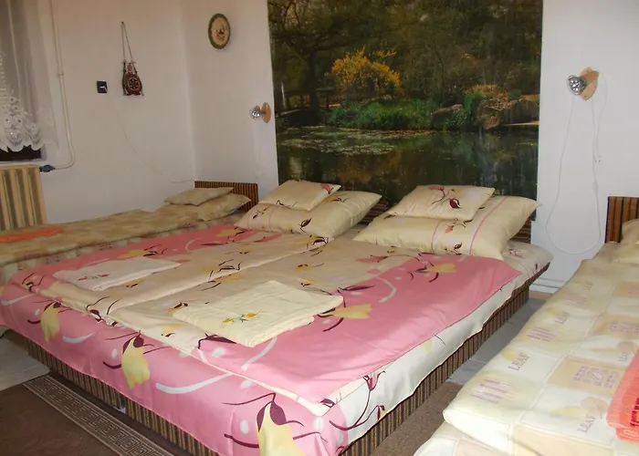 Pensiune Apartman Szoke Tisza
